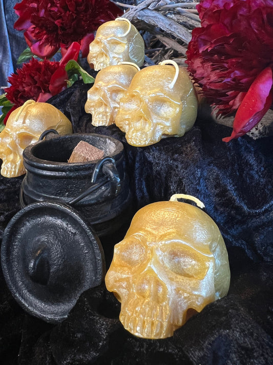 Skull Candle in Gold Beeswax