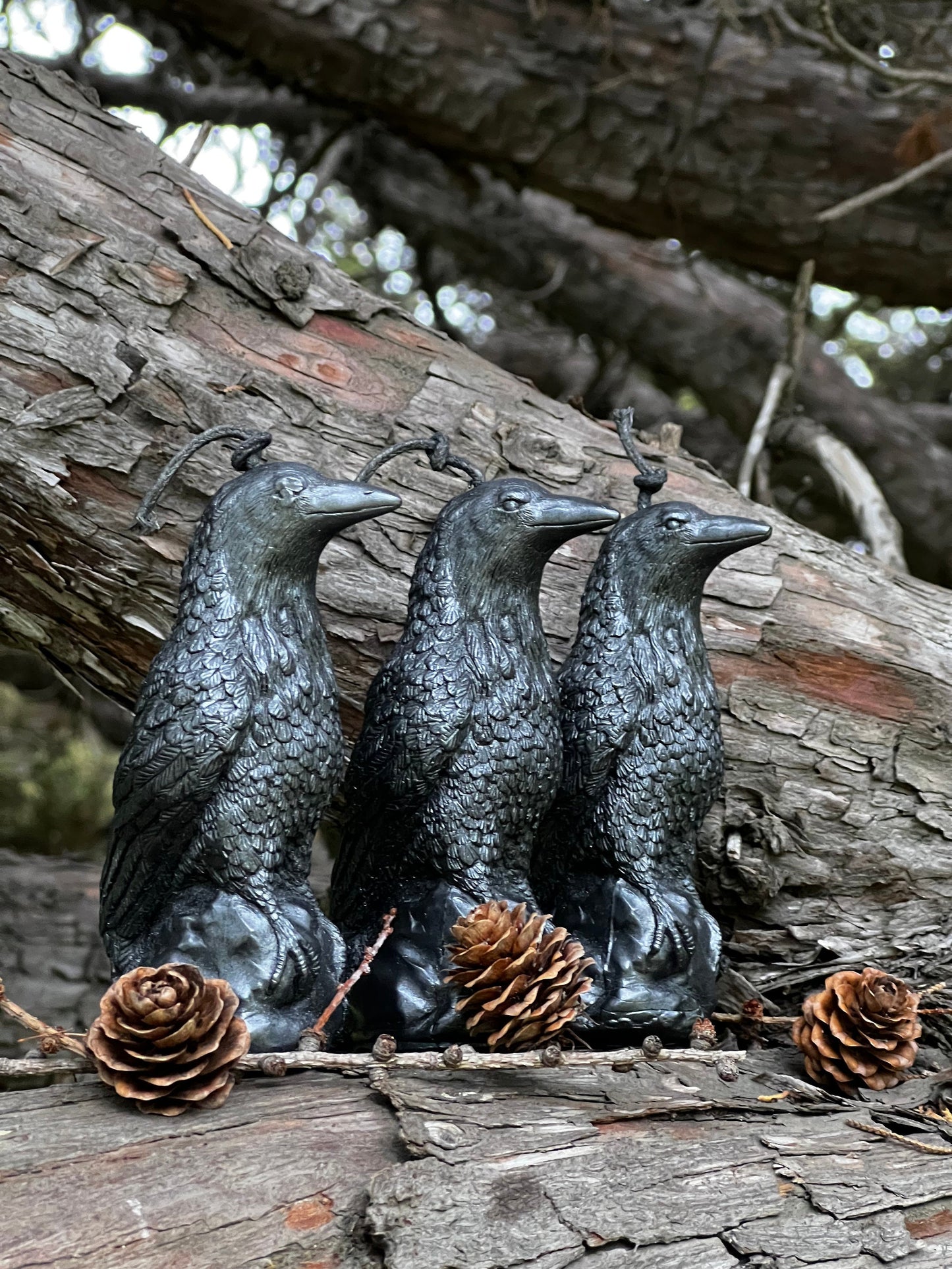 Raven Candle in Black Beeswax