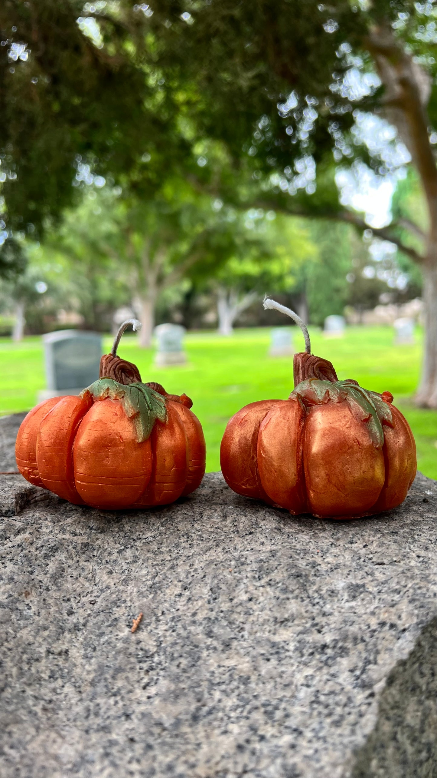 Pumpkin Pillar  Beeswax Candles